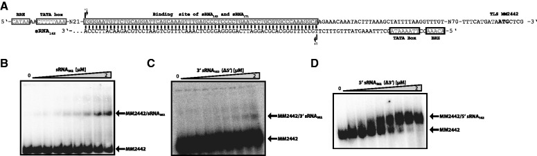 Figure 7.