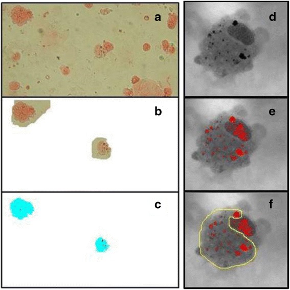 Fig. 2