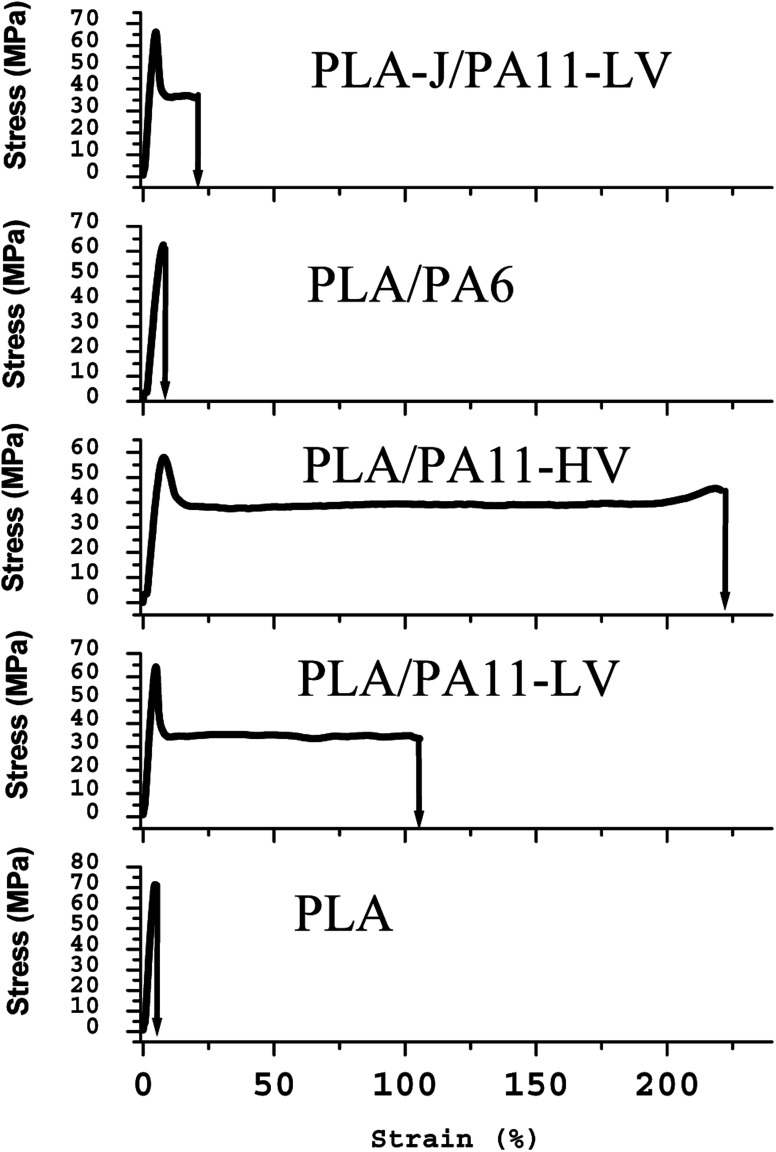 Fig. 19