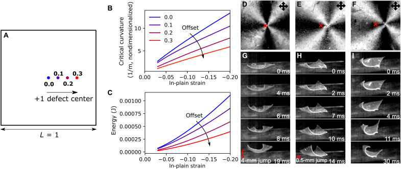 Fig. 3.