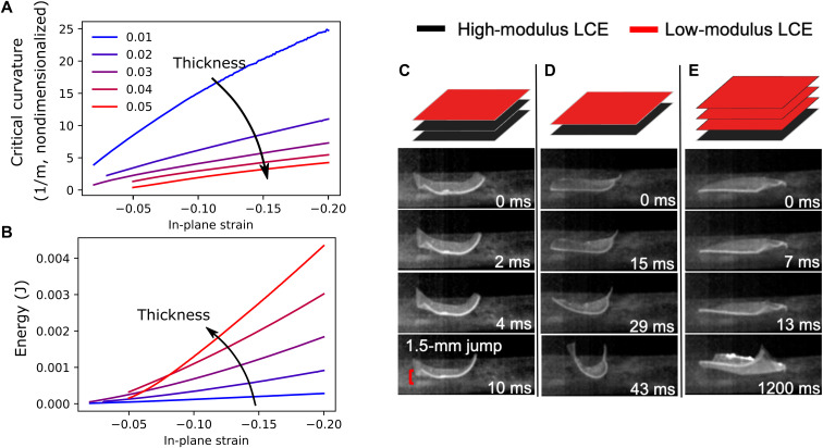 Fig. 4.