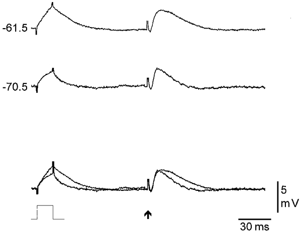 Figure 8