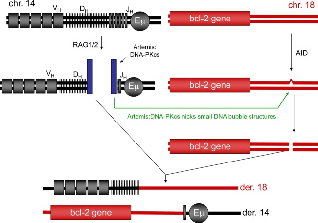 Fig 6