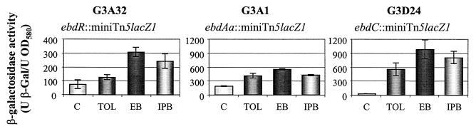 FIG. 5