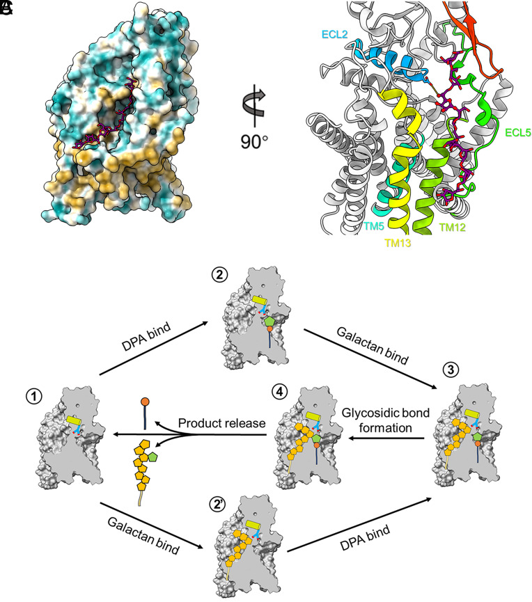 Fig. 4.