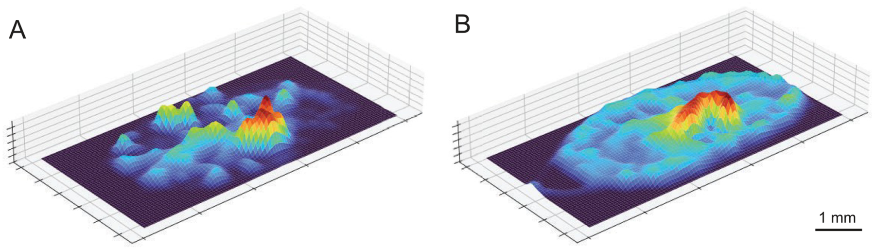 Figure 5.