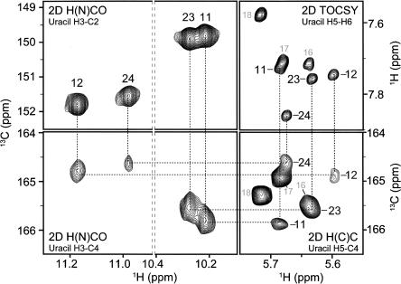 FIGURE 5.