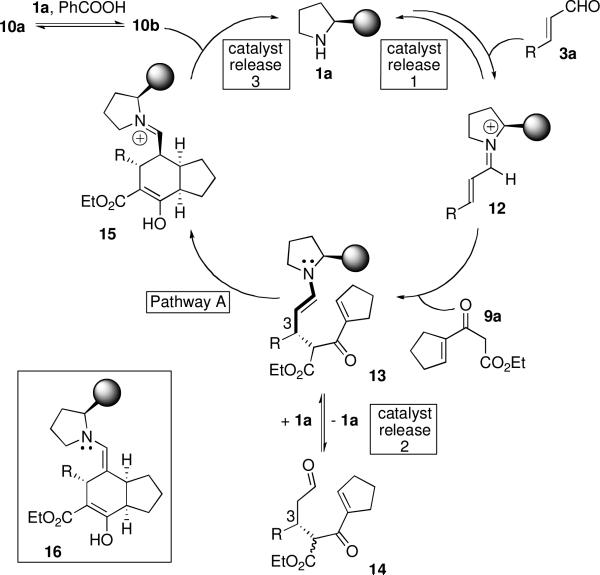 Scheme 2