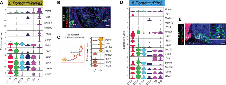 Figure 2—figure supplement 2.