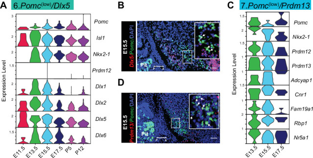 Figure 3—figure supplement 2.