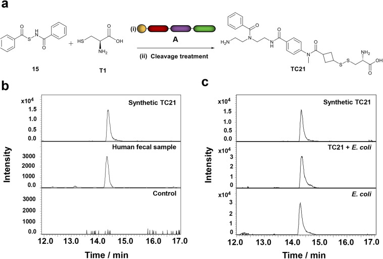 Fig. 4