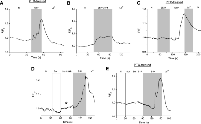 Fig. 9.