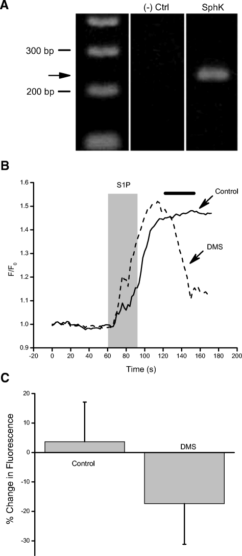 Fig. 11.