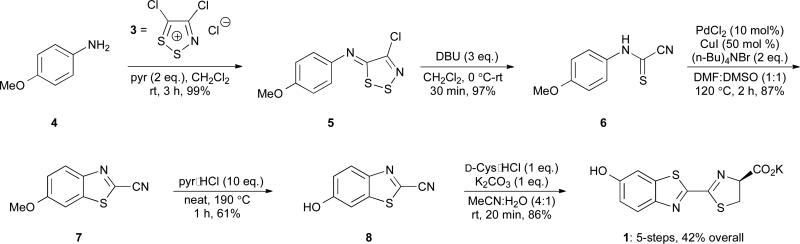 Scheme 2