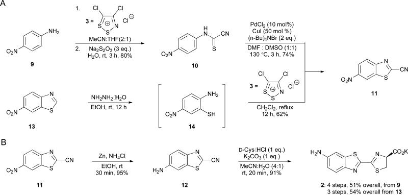 Scheme 5