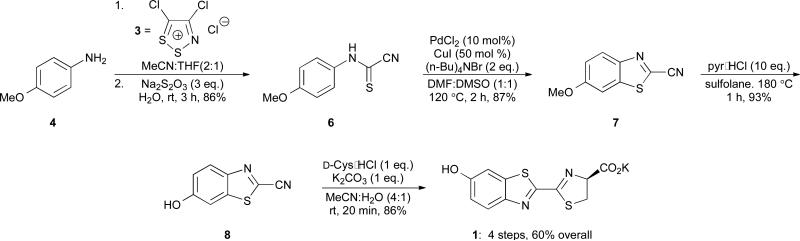 Scheme 3