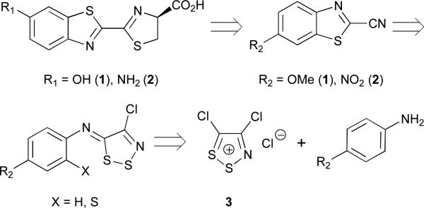 Scheme 1