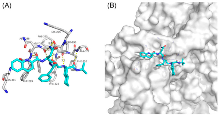 Figure 5