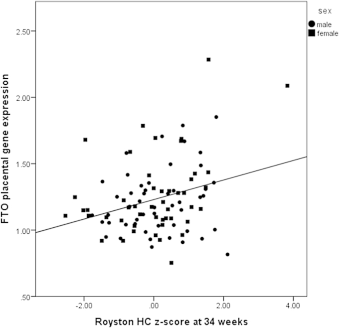 Fig. 3