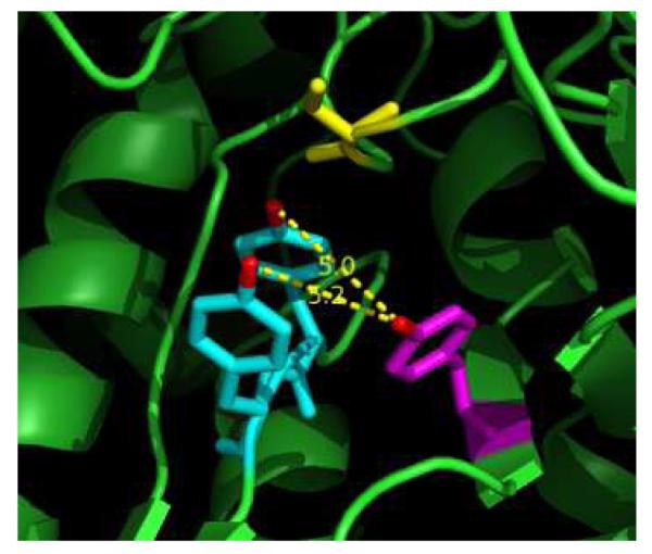 FIGURE 3