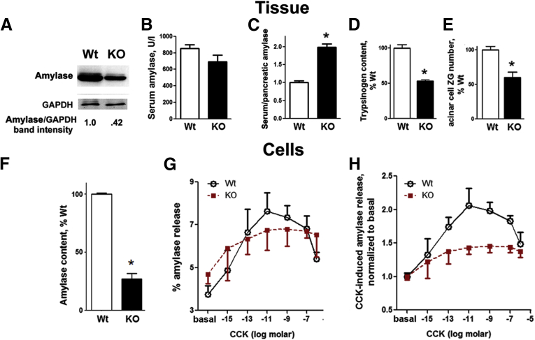 Figure 10