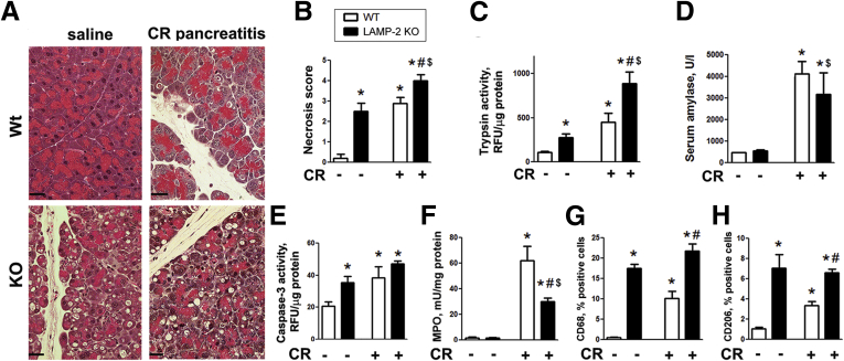 Figure 11