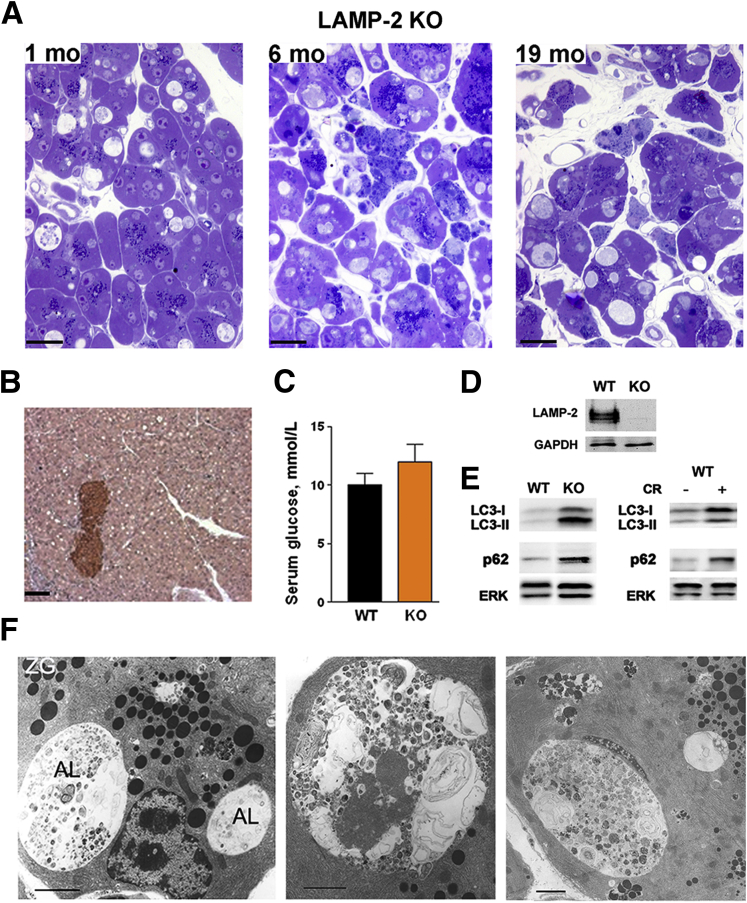 Figure 7