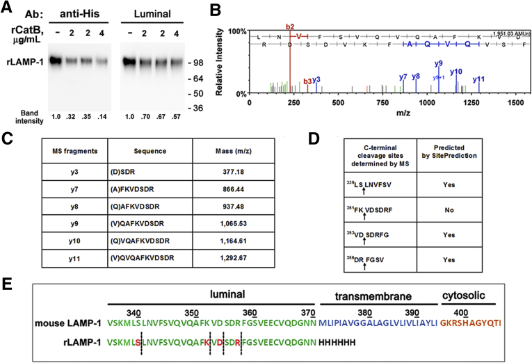 Figure 6