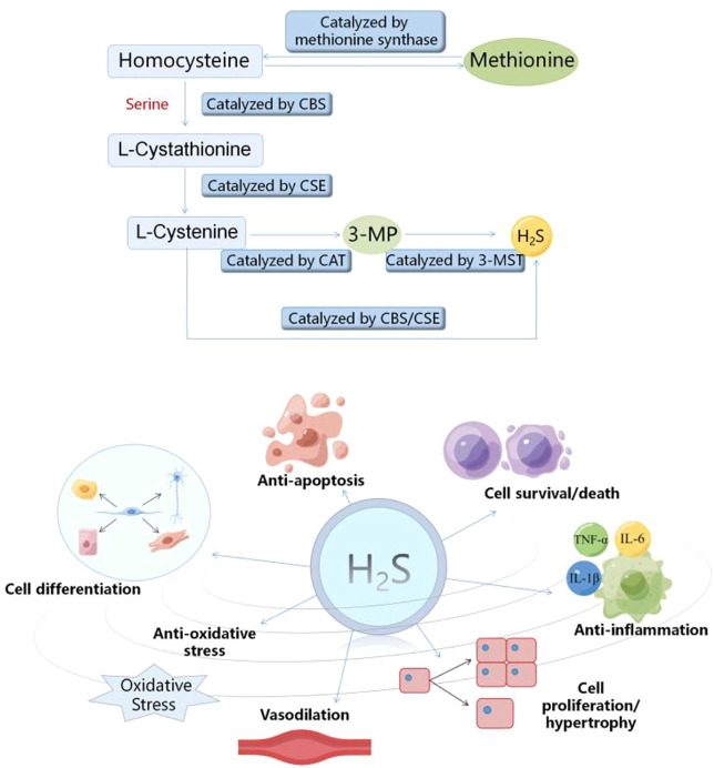 FIGURE 2