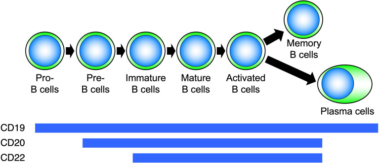 Figure 5