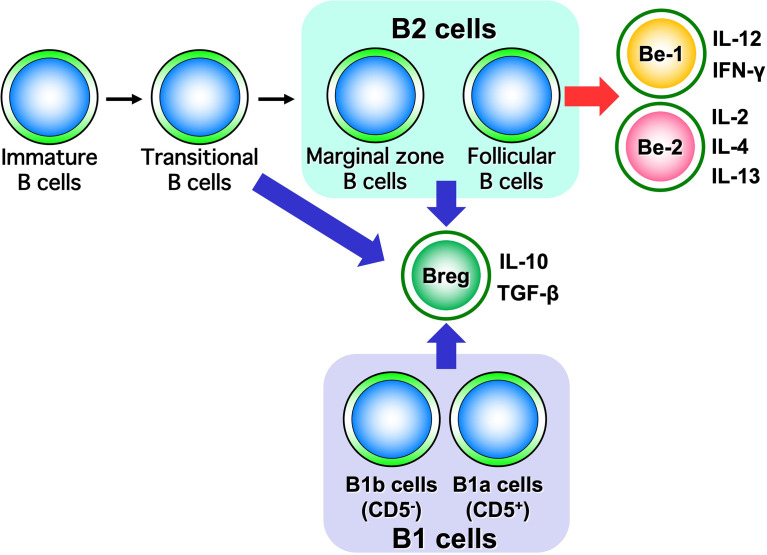 Figure 6