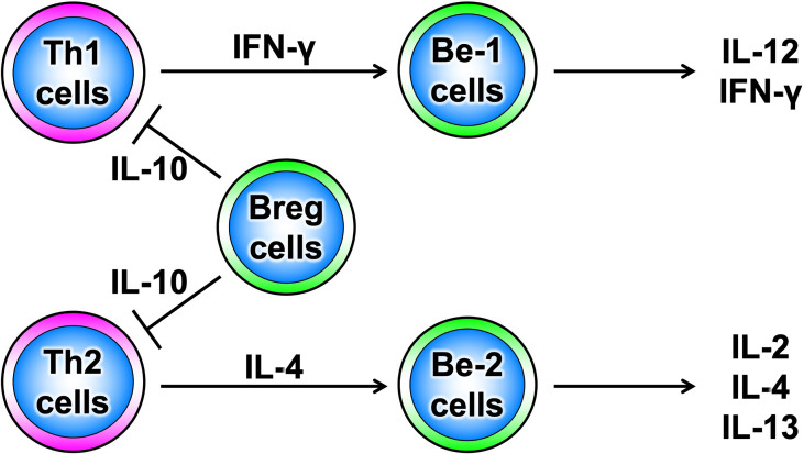 Figure 3