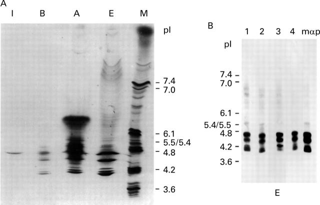 Figure 4  