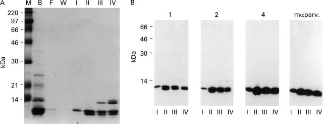 Figure 3  