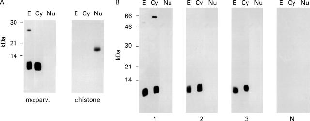 Figure 2  