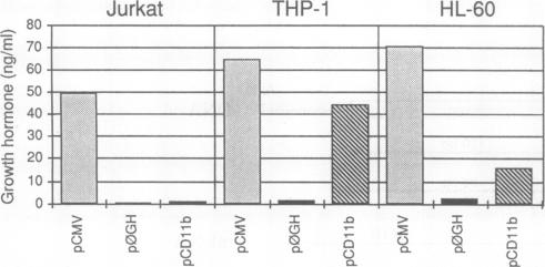 graphic file with name pnas01080-0120-a.jpg