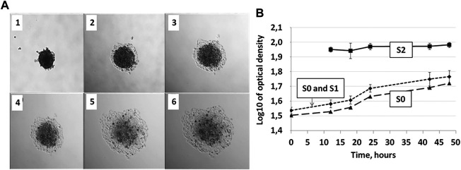 FIGURE 6