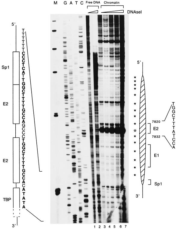 FIG. 7