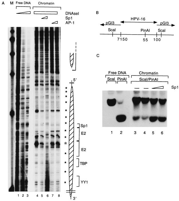 FIG. 6