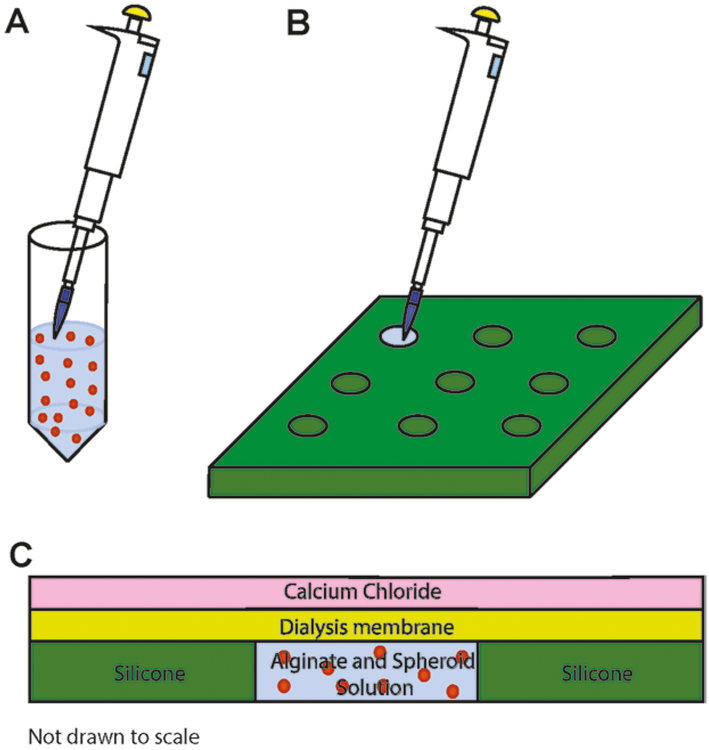 Fig. 3