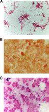 FIG 1