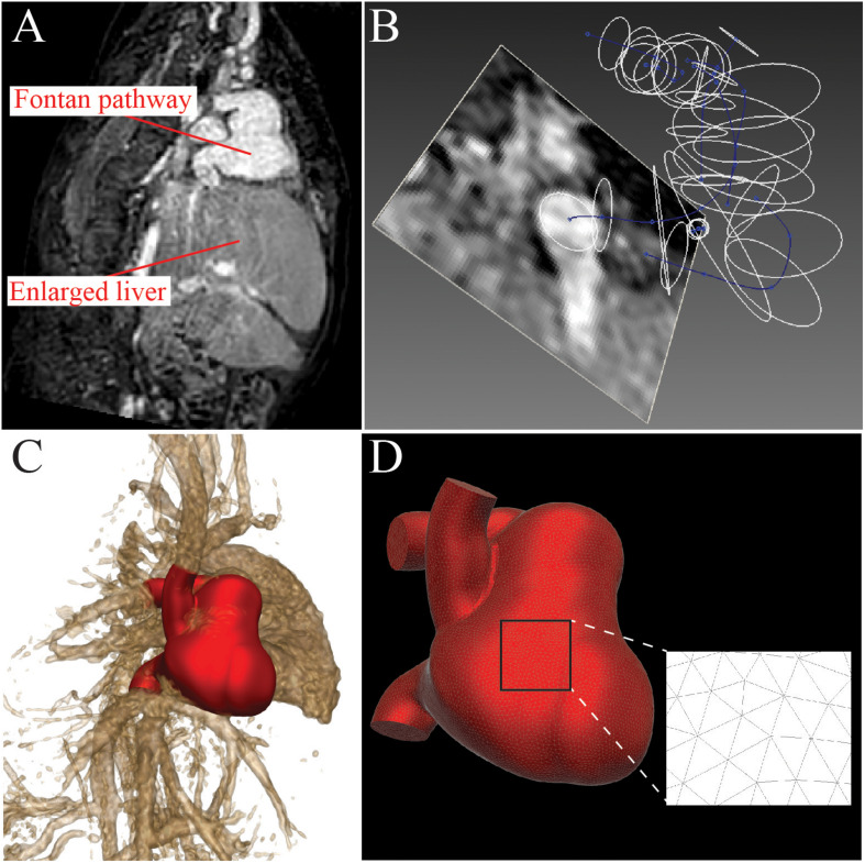 FIGURE 2