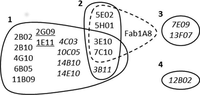 FIGURE 2.