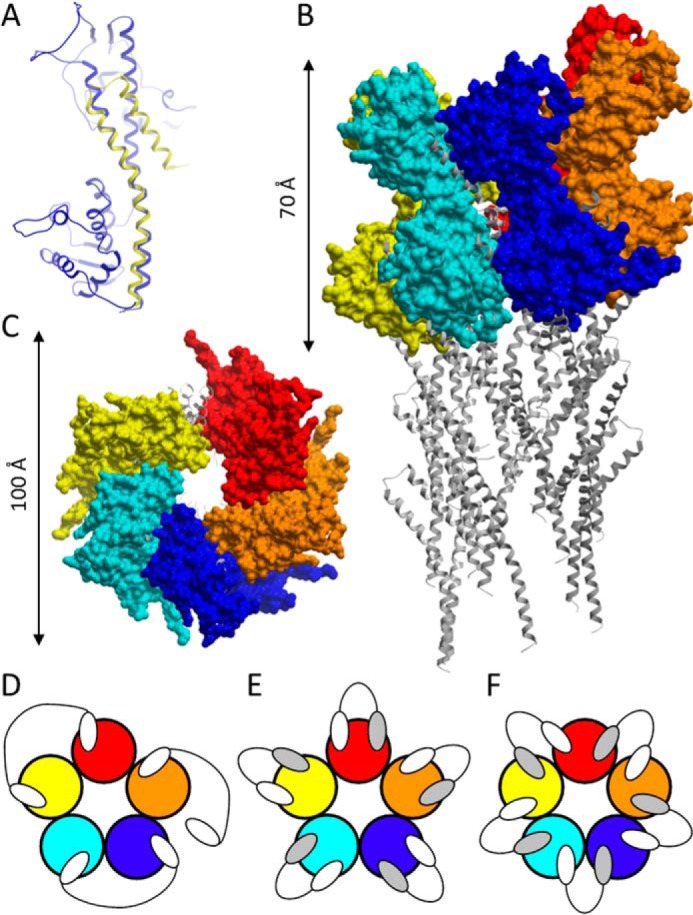 FIGURE 3.