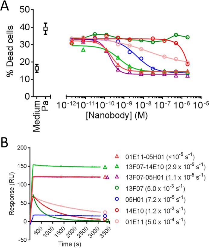 FIGURE 7.