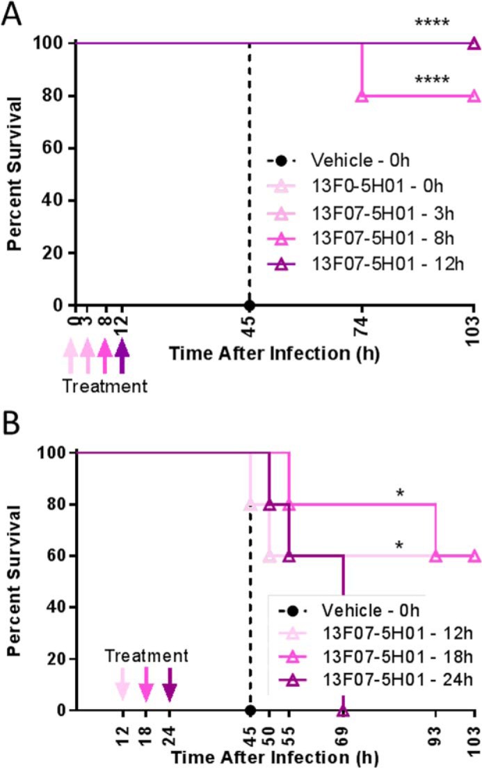 FIGURE 9.