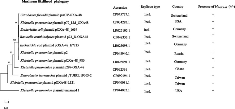 FIG 4