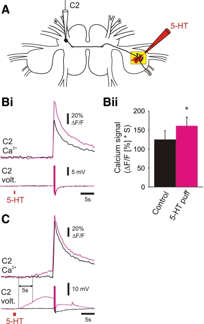 FIG. 7.