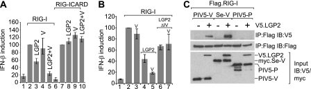 Fig 6