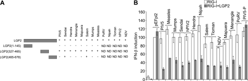 Fig 5